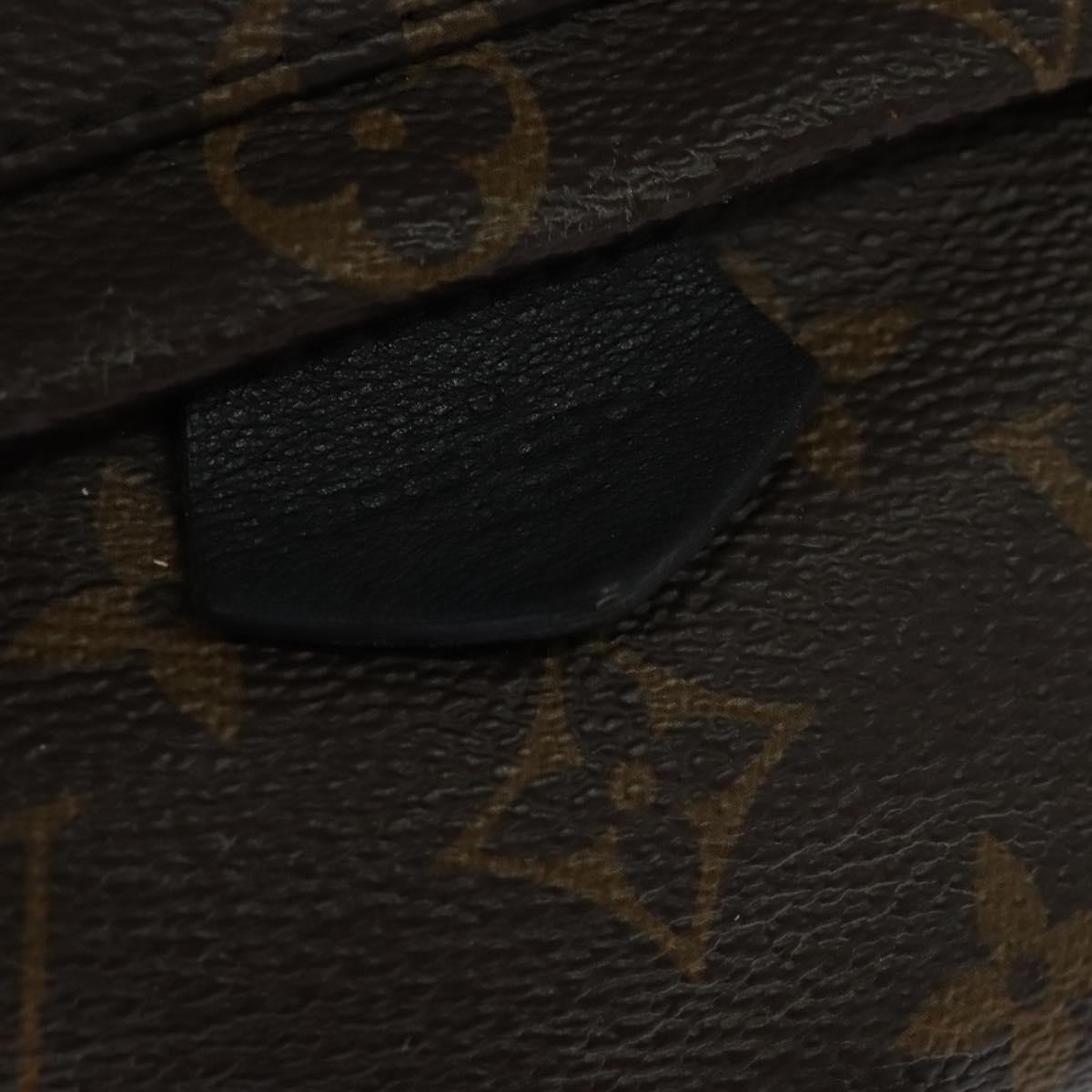 Louis Vuitton Palm Springs Mini Brown Canvas Backpack Bag (Pre-Owned)
