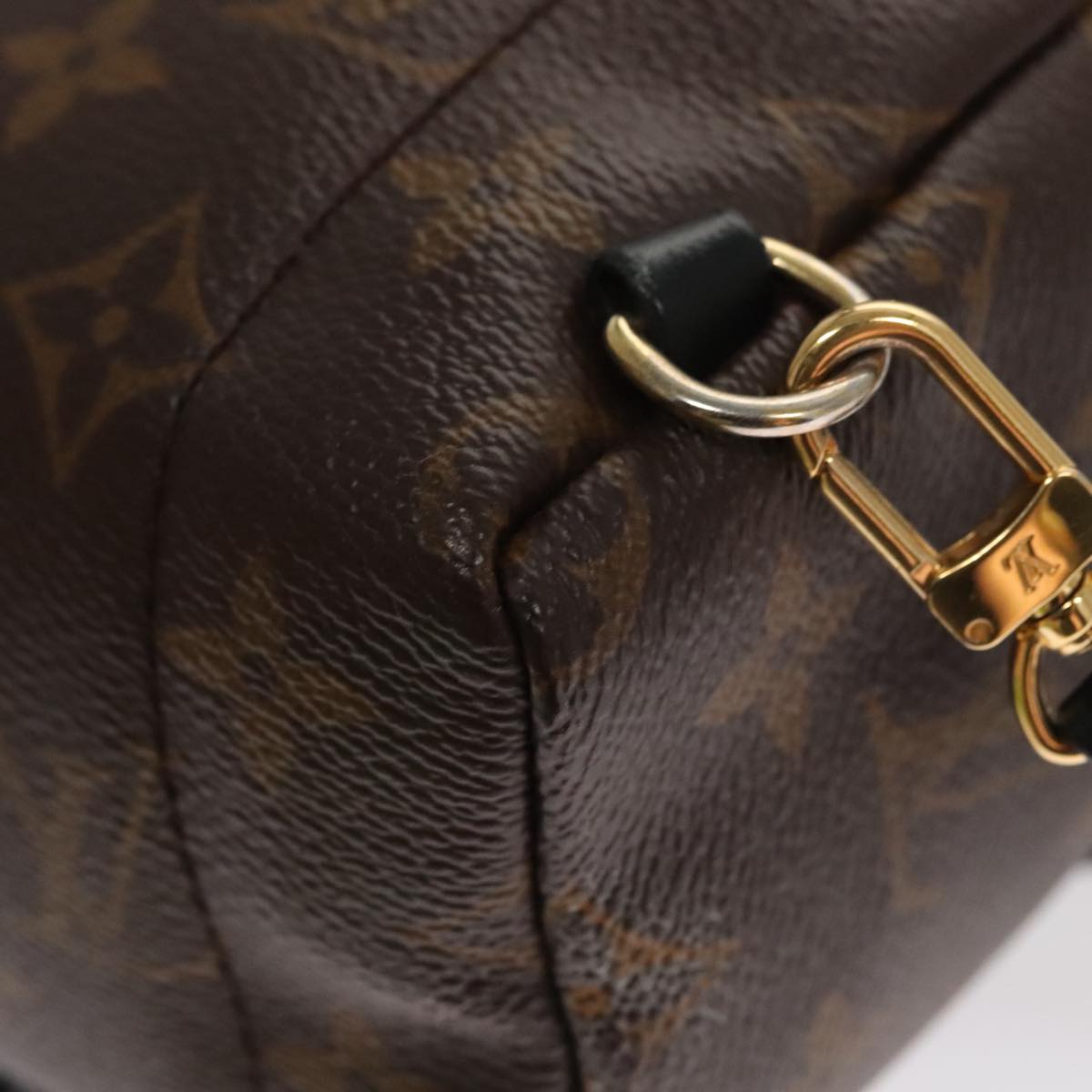 Louis Vuitton Palm Springs Mini Brown Canvas Backpack Bag (Pre-Owned)