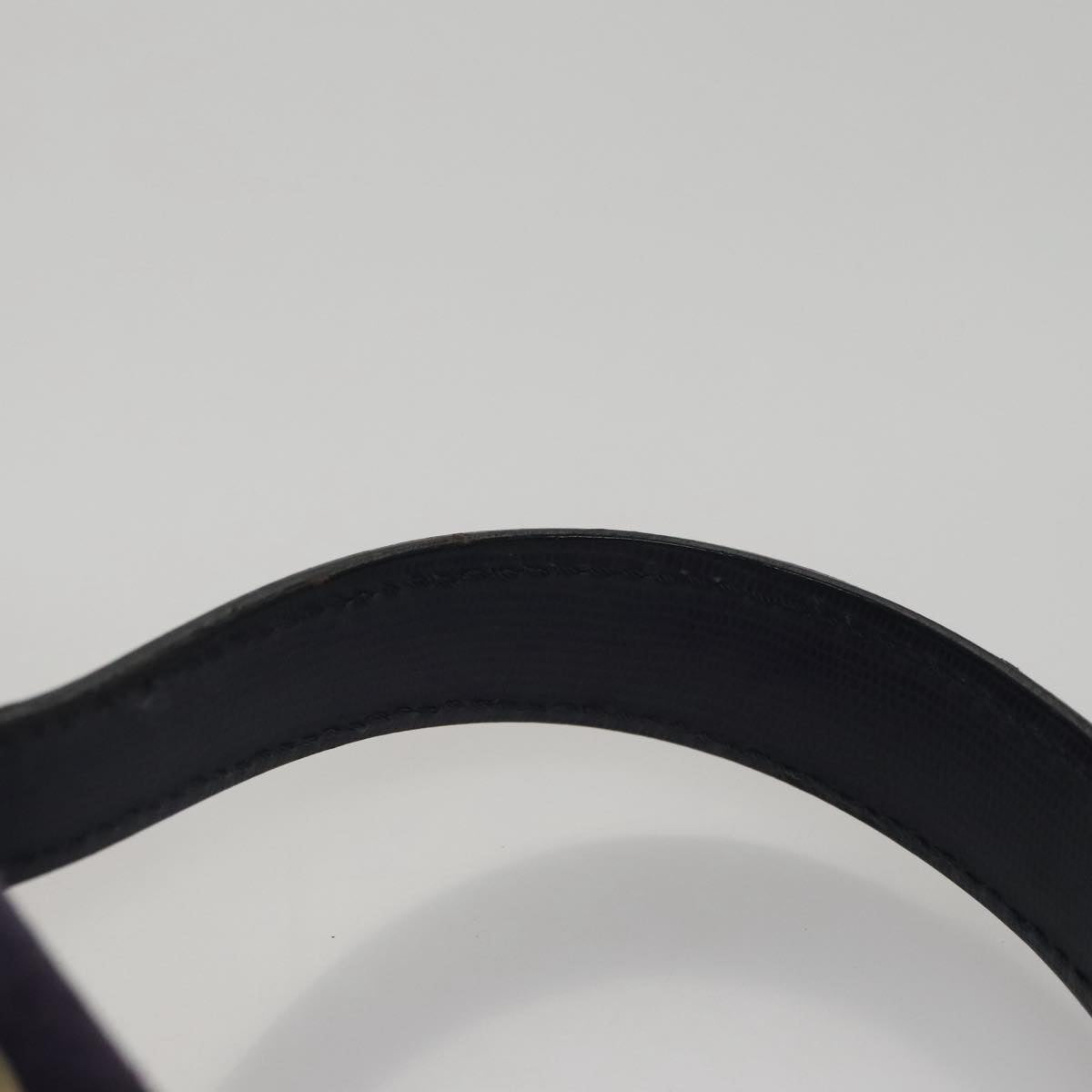 Céline Logo Du Cercle Purple Suede Handbag (Pre-Owned)
