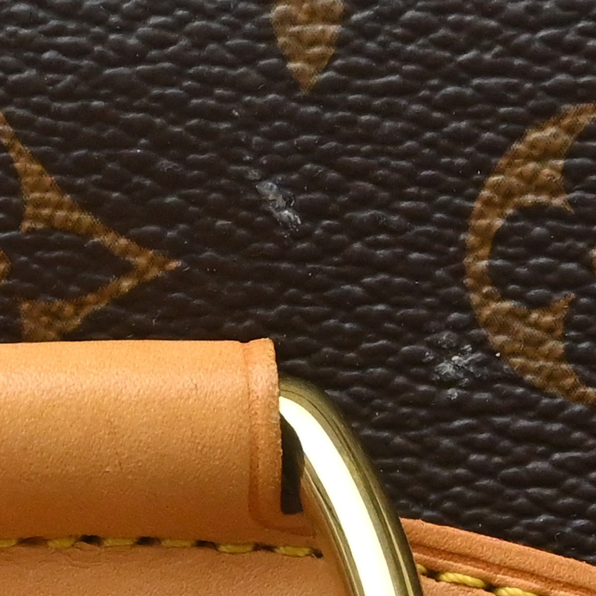 Louis Vuitton Montsouris Nm Monogram Canvas Brown Canvas Backpack Bag (Pre-Owned)