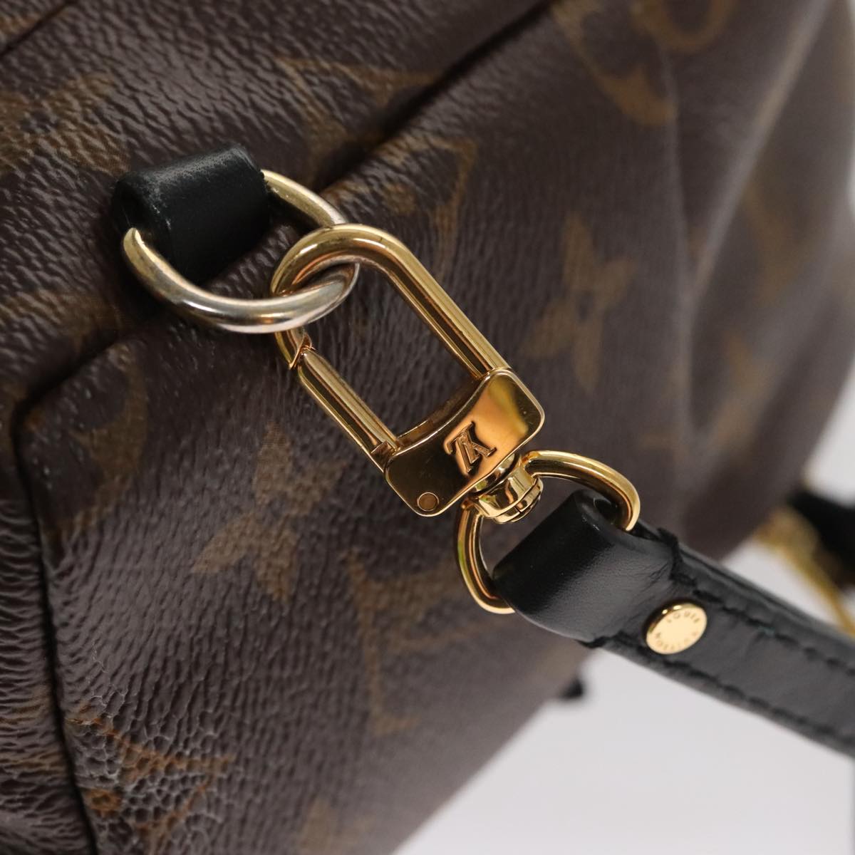 Louis Vuitton Palm Springs Mini Brown Canvas Backpack Bag (Pre-Owned)