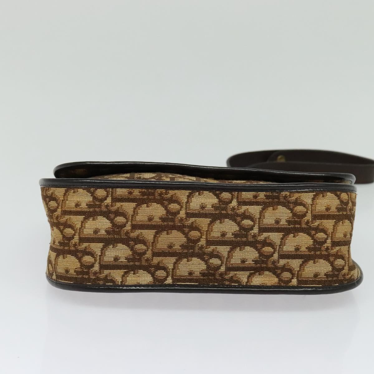 Dior Brown Canvas Shoulder Bag (Pre-Owned)