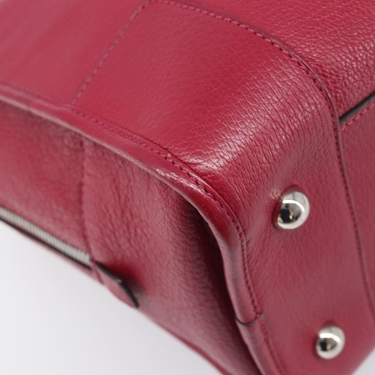 Loewe Amazona Leather Red Leather Handbag (Pre-Owned)