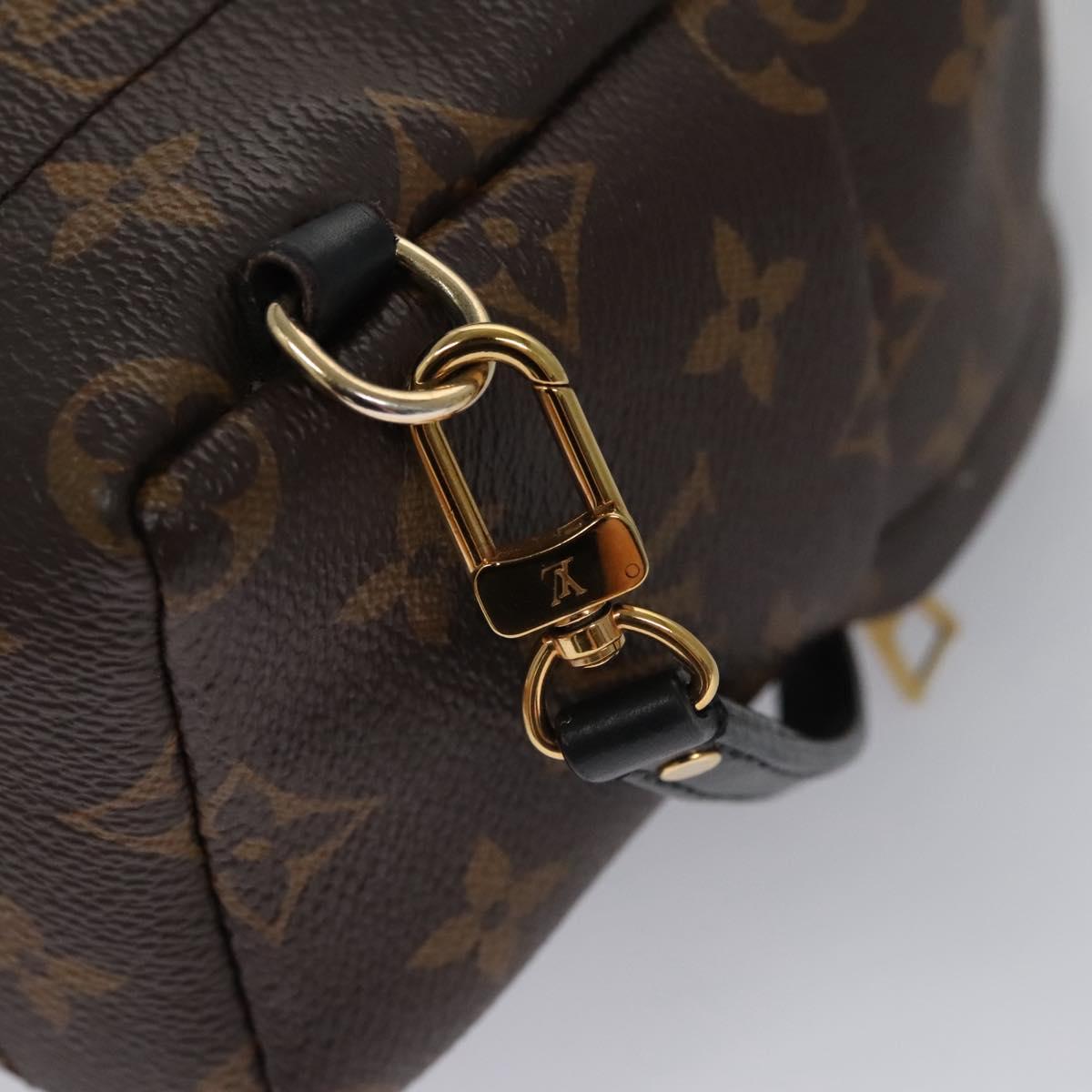 Louis Vuitton Palm Springs Brown Canvas Backpack Bag (Pre-Owned)
