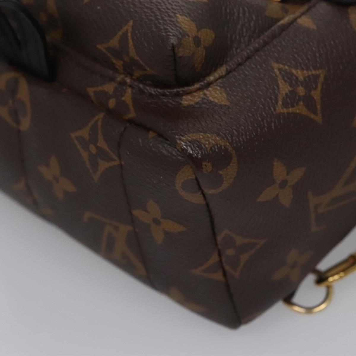 Louis Vuitton Palm Springs Brown Canvas Backpack Bag (Pre-Owned)