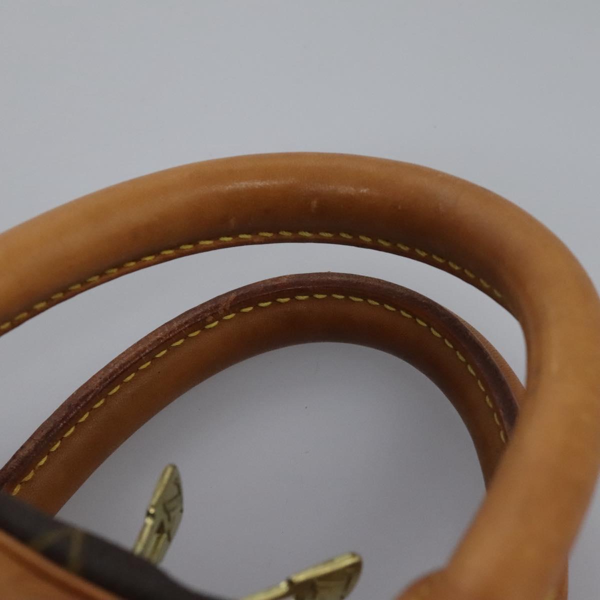Louis Vuitton Evasion Brown Canvas Travel Bag (Pre-Owned)
