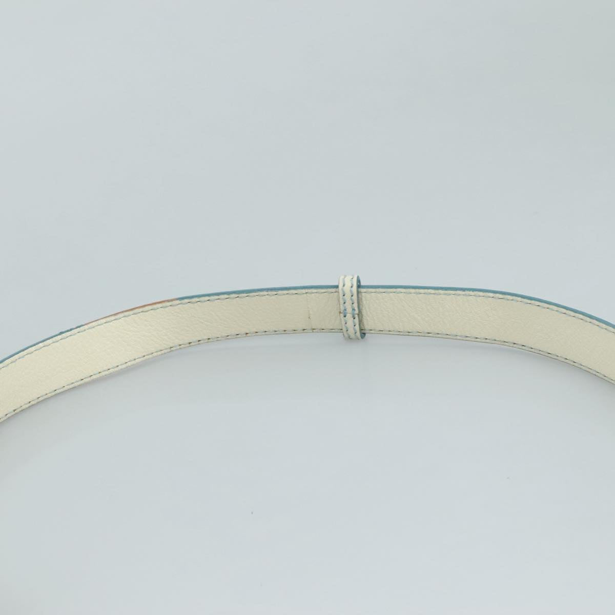 Céline Macadam Blue Canvas Shoulder Bag (Pre-Owned)