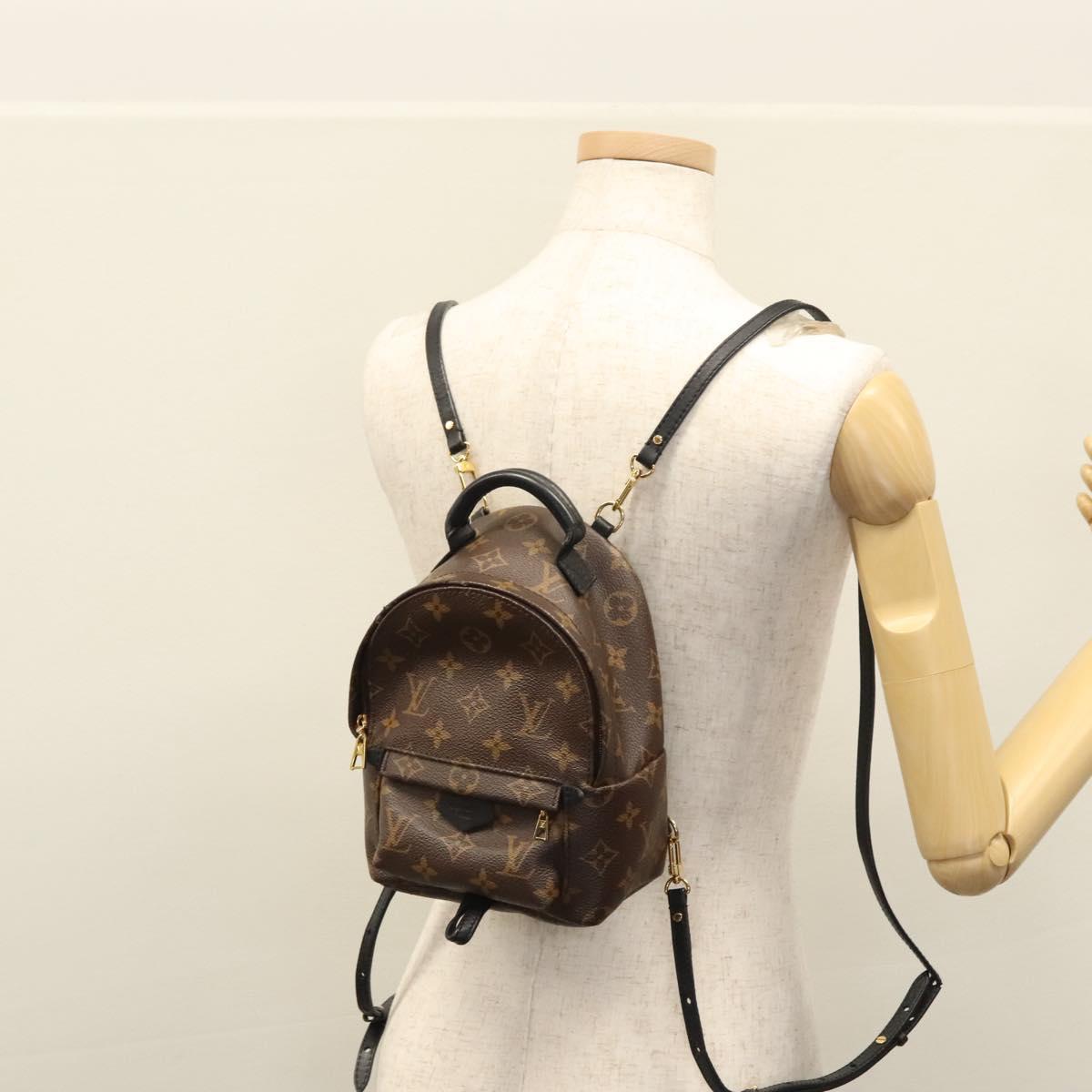 Louis Vuitton Palm Springs Brown Canvas Backpack Bag (Pre-Owned)