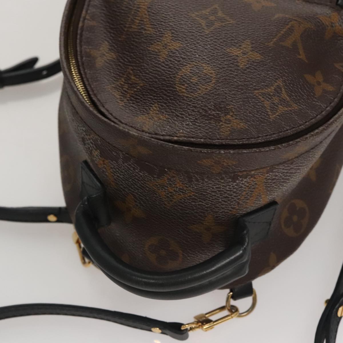 Louis Vuitton Palm Springs Mini Brown Canvas Backpack Bag (Pre-Owned)