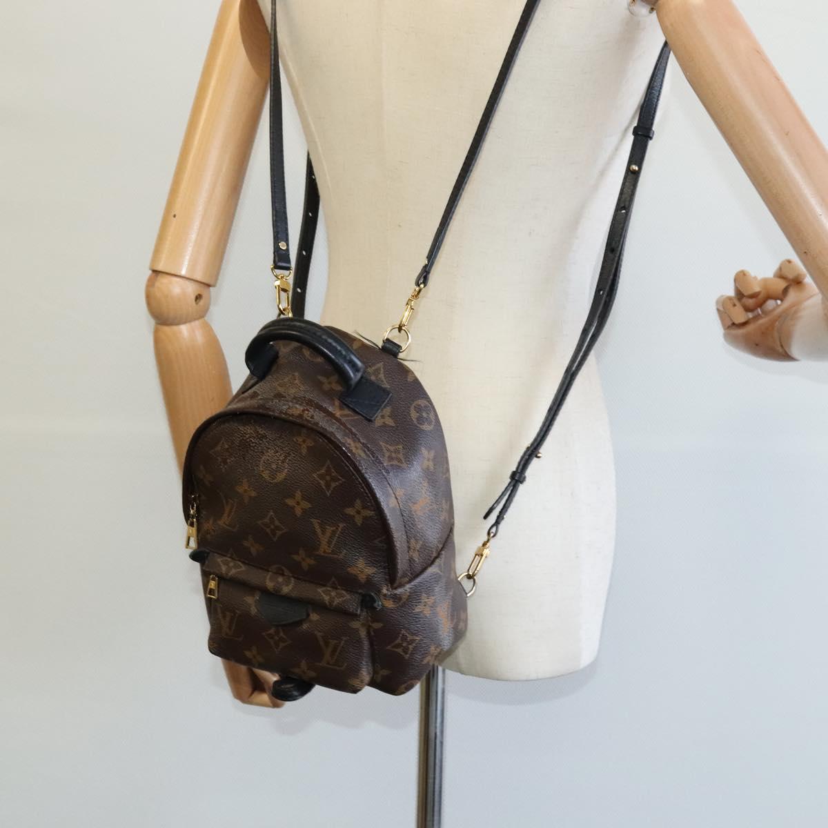 Louis Vuitton Palm Springs Mini Brown Canvas Backpack Bag (Pre-Owned)