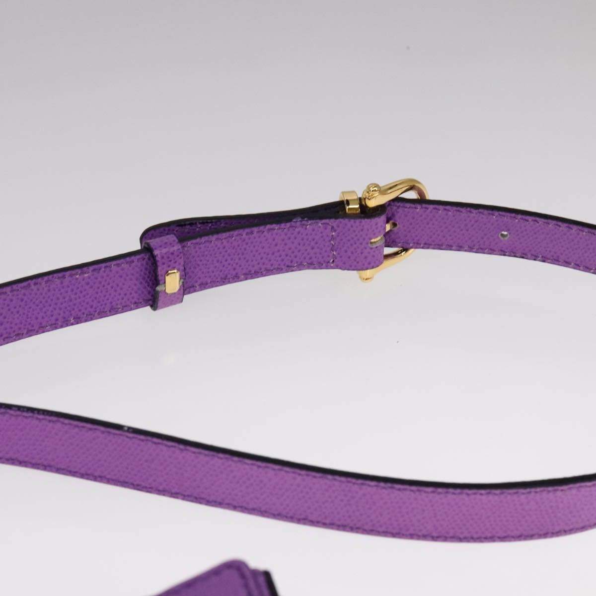 Céline Purple Leather Shoulder Bag (Pre-Owned)
