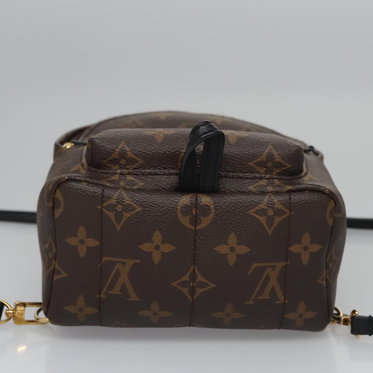 Louis Vuitton Palm Springs Brown Canvas Backpack Bag (Pre-Owned)