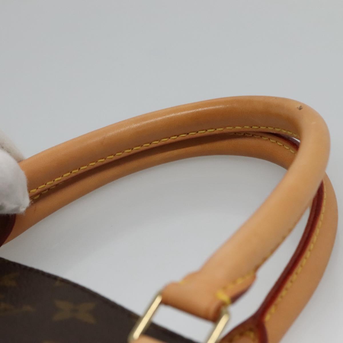 Louis Vuitton Sac Plat Brown Canvas Handbag (Pre-Owned)