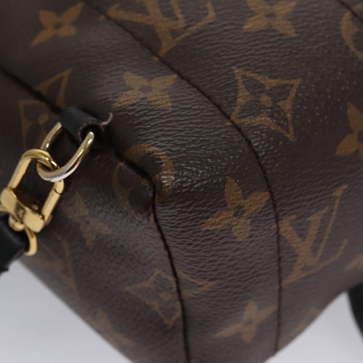 Louis Vuitton Palm Springs Brown Canvas Backpack Bag (Pre-Owned)