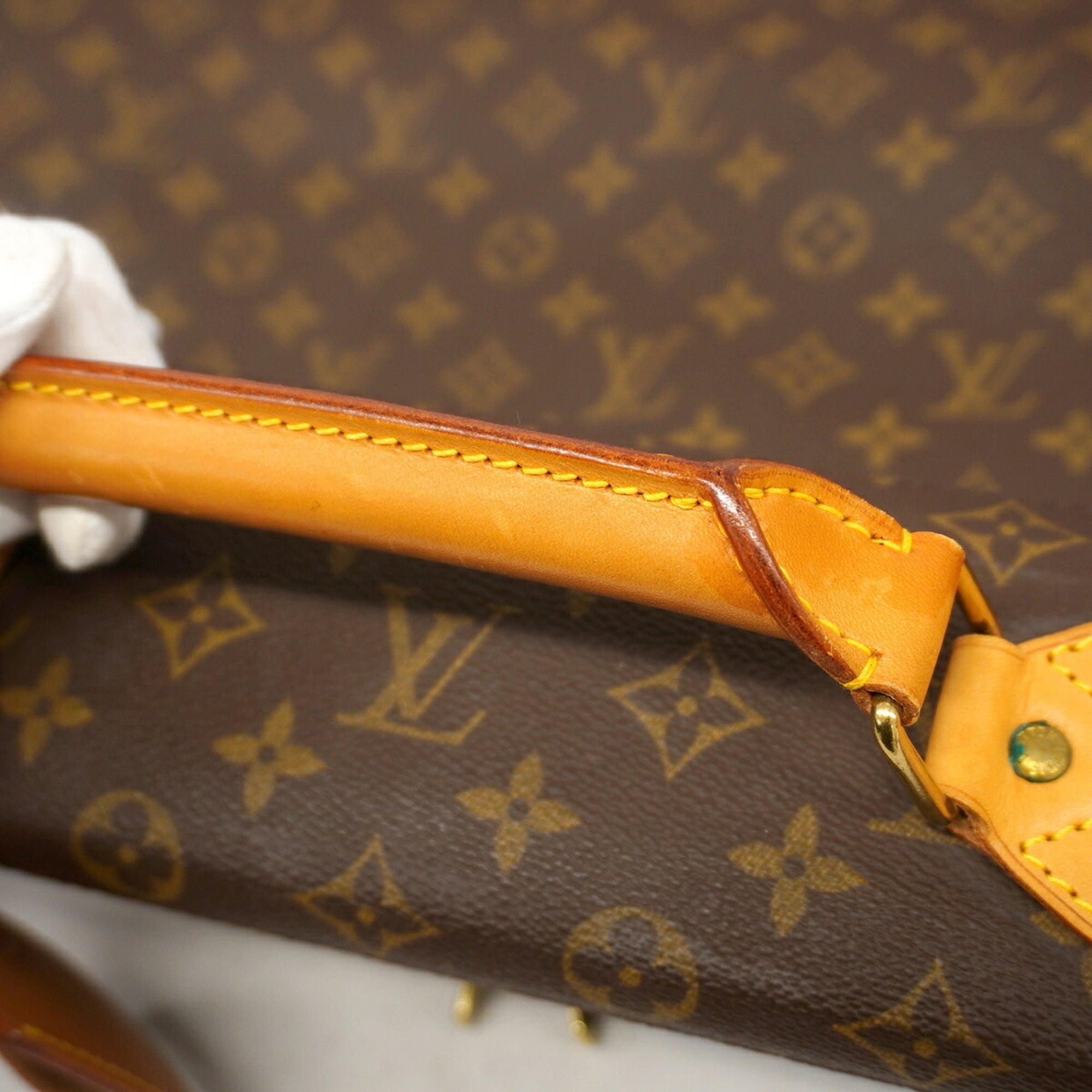 Louis Vuitton Brown Garment Case (Pre-Owned)