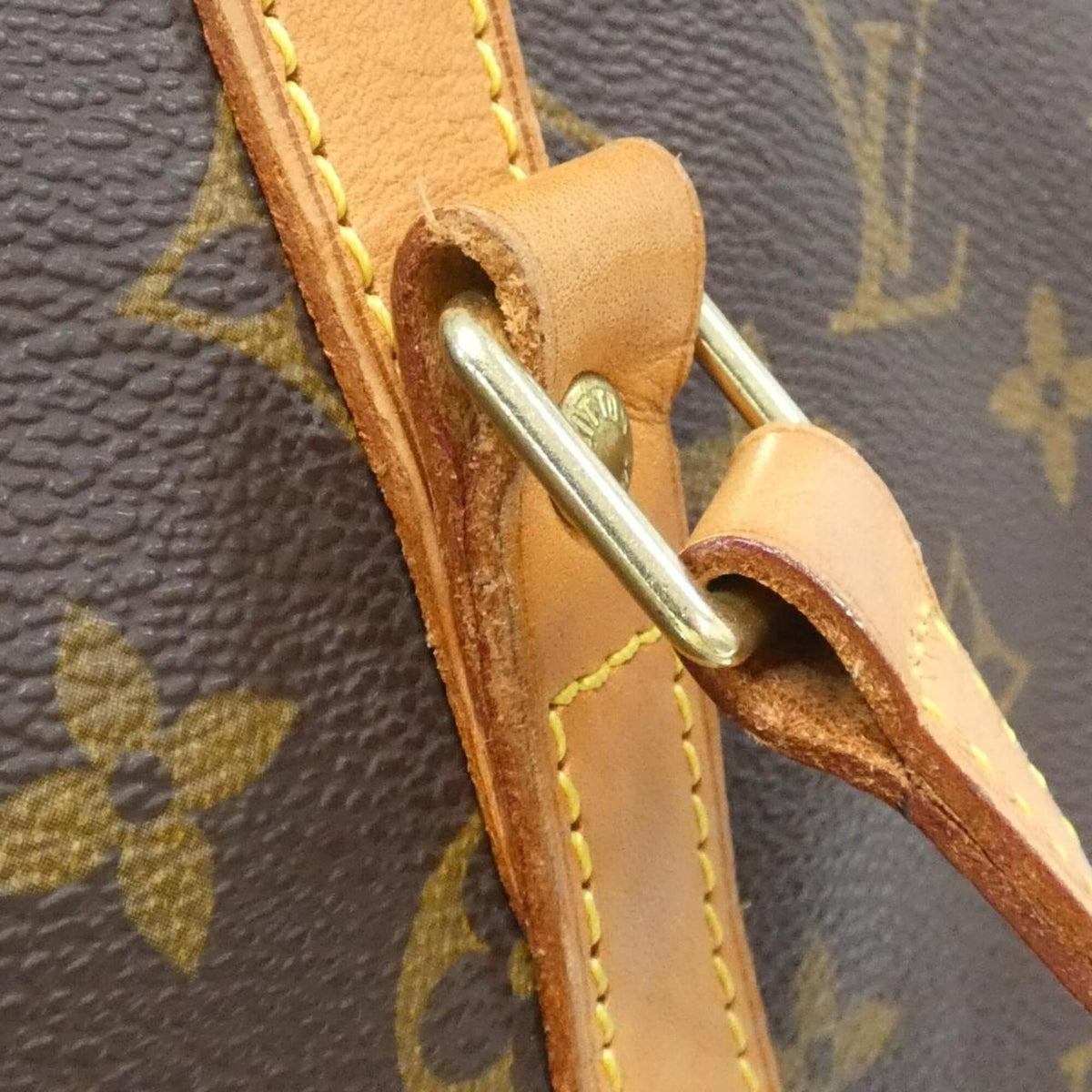 Louis Vuitton Marron Monogram Monogram Coated Canvas Handbag (Pre-Owned)