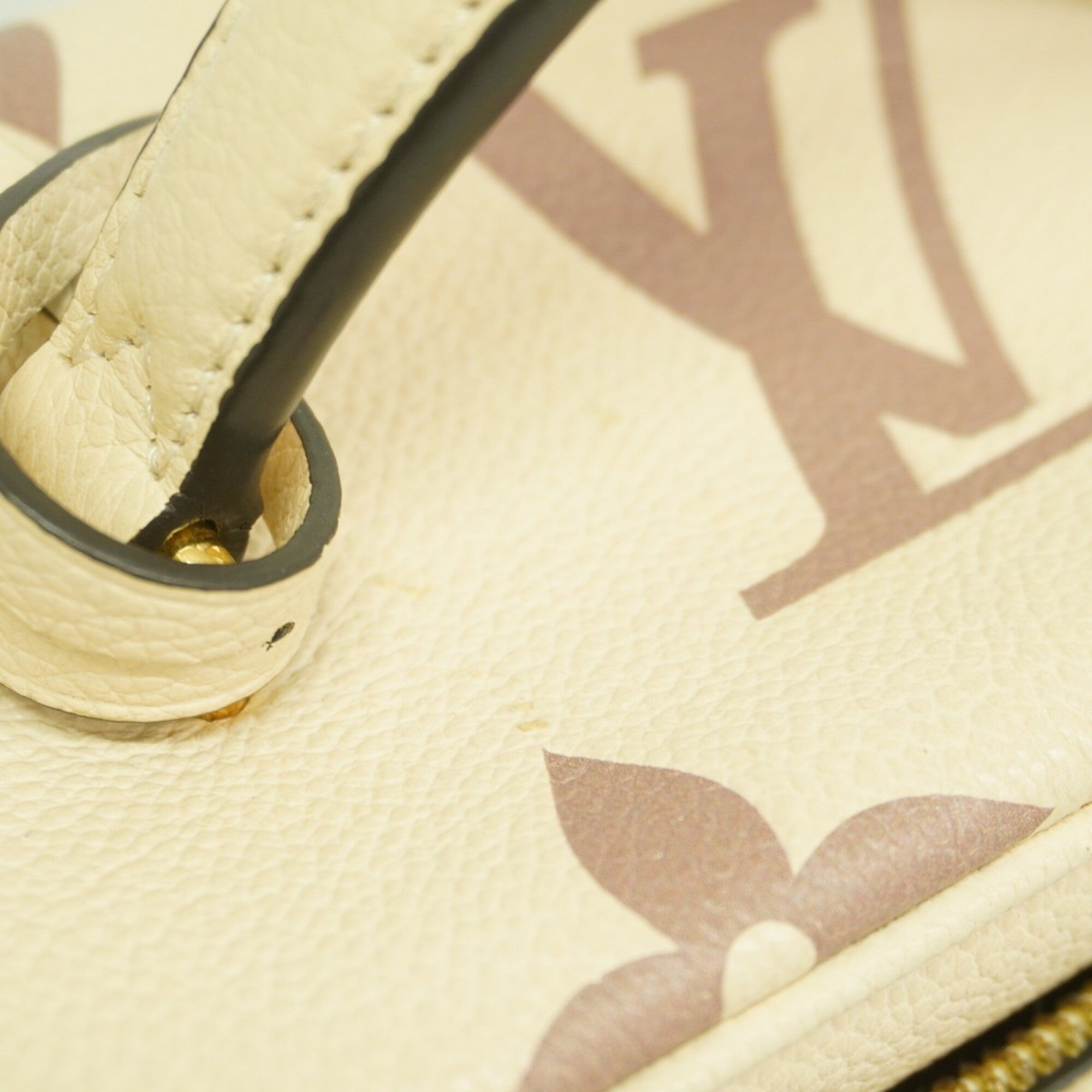 Louis Vuitton Cream Vanity Bag (Pre-Owned)