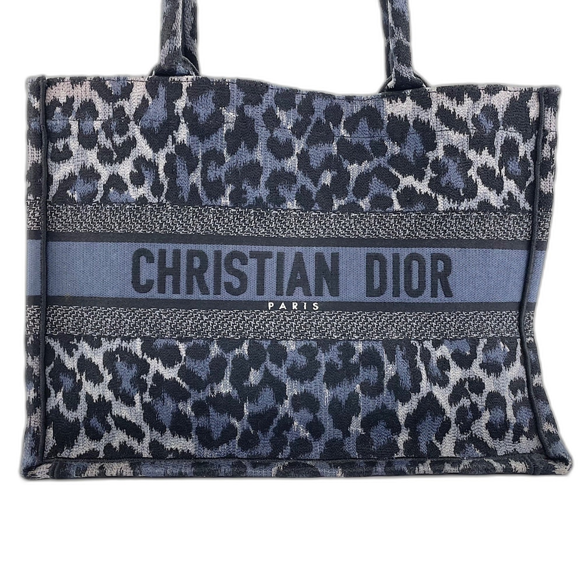 Christian Dior Blue Tote Bag (Pre-Owned)