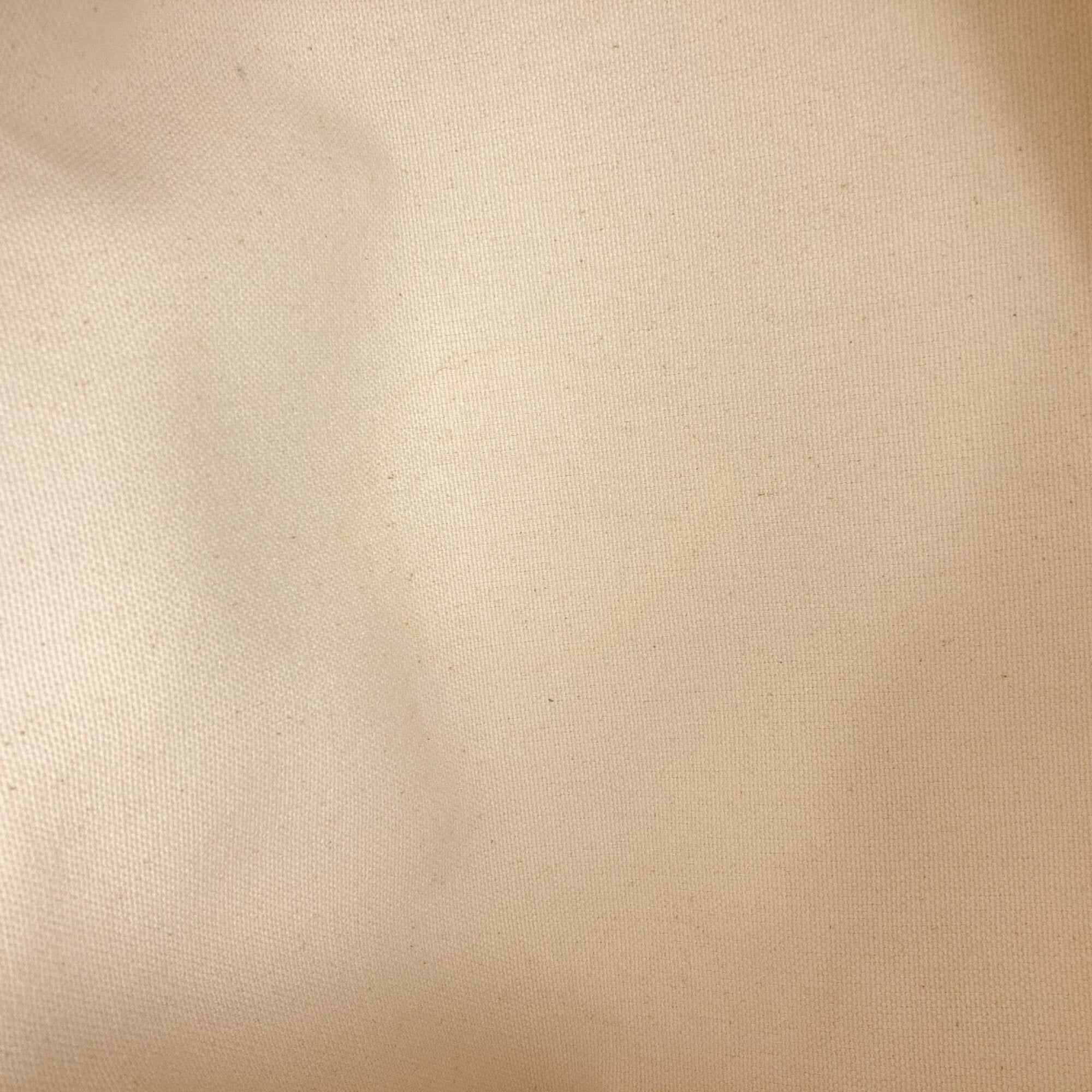 Celine Brown White Canvas Handbag (Pre-Owned)