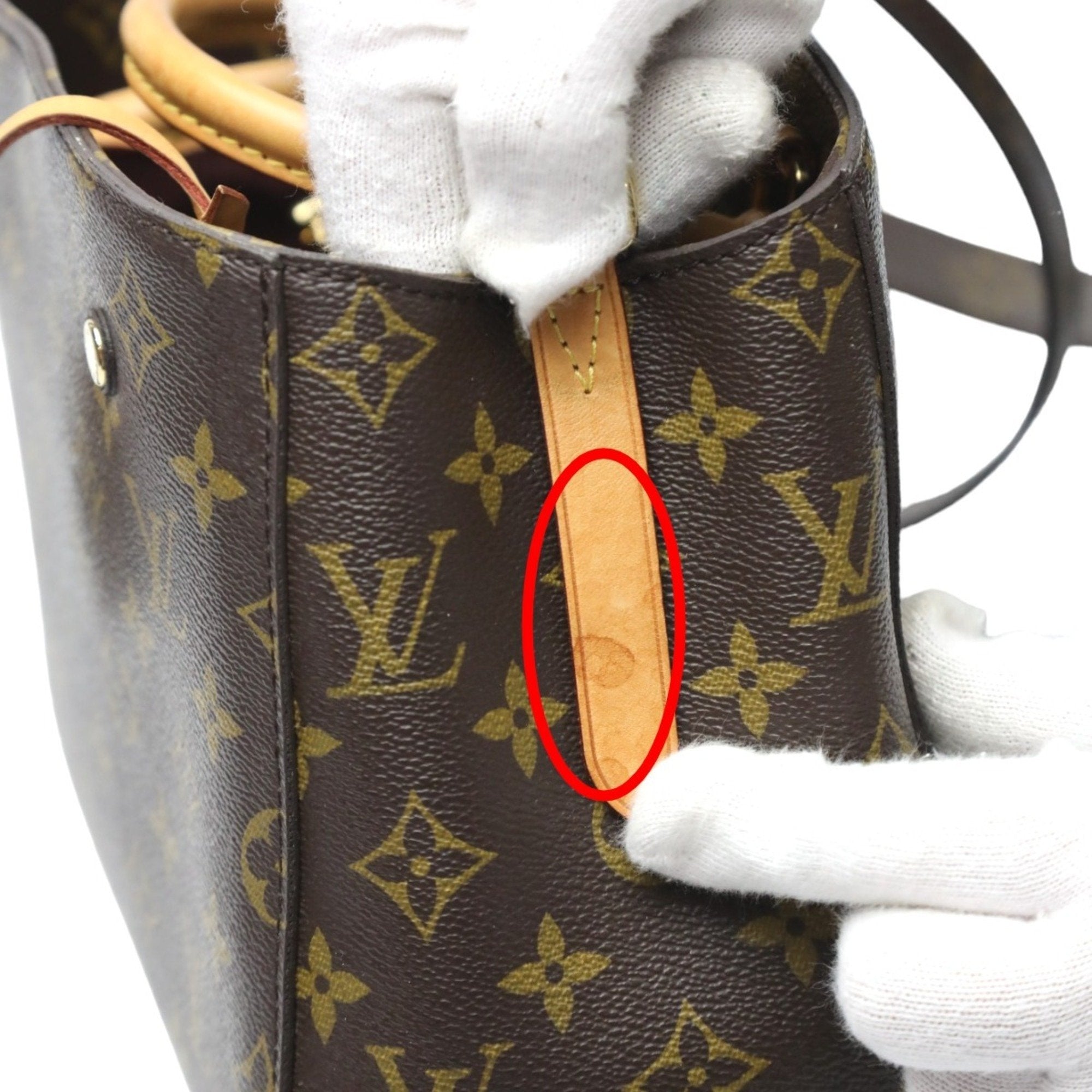 Louis Vuitton Brown Monogram Canvas Handbag Shoulder Bag (Pre-Owned)