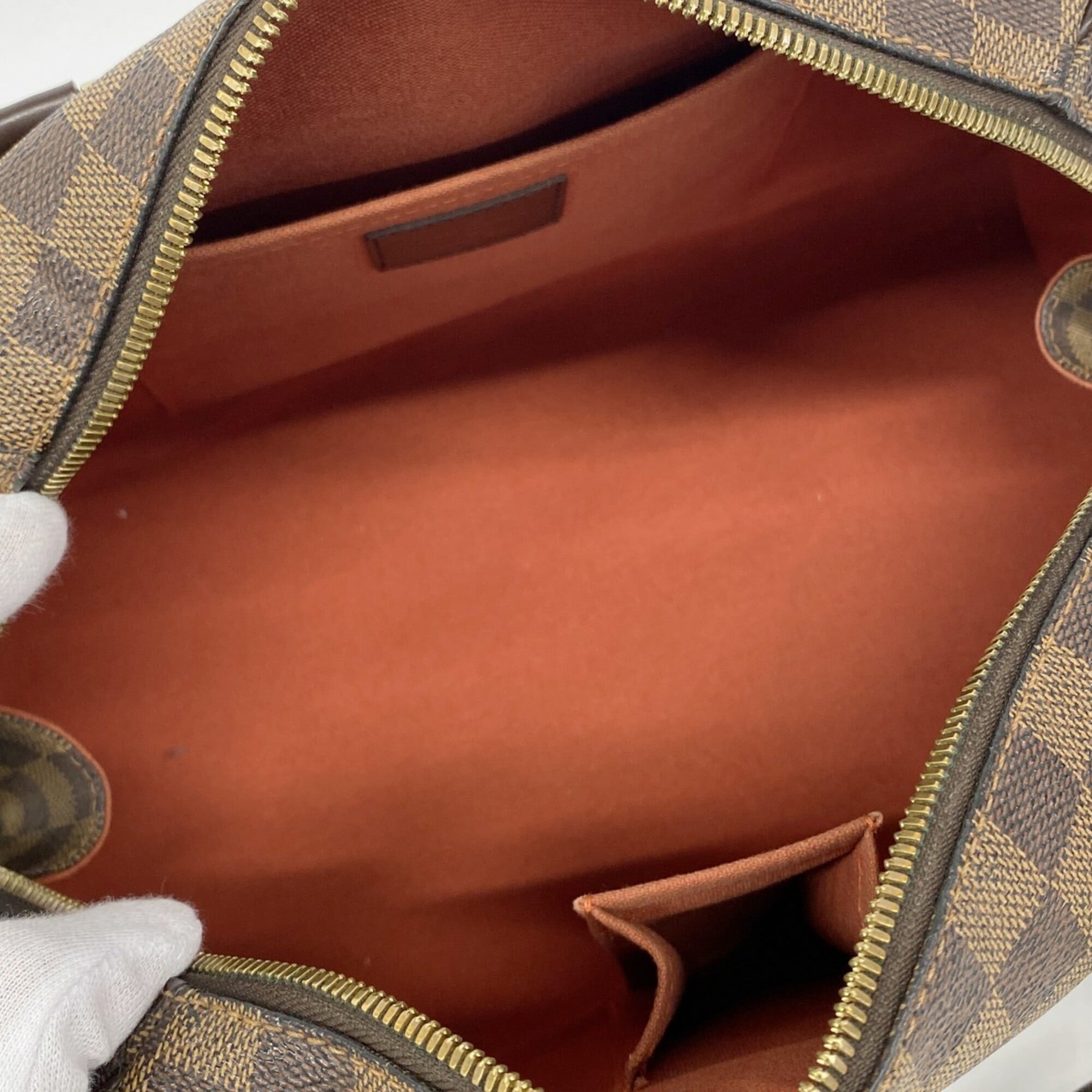 Louis Vuitton Brown Handbag (Pre-Owned)