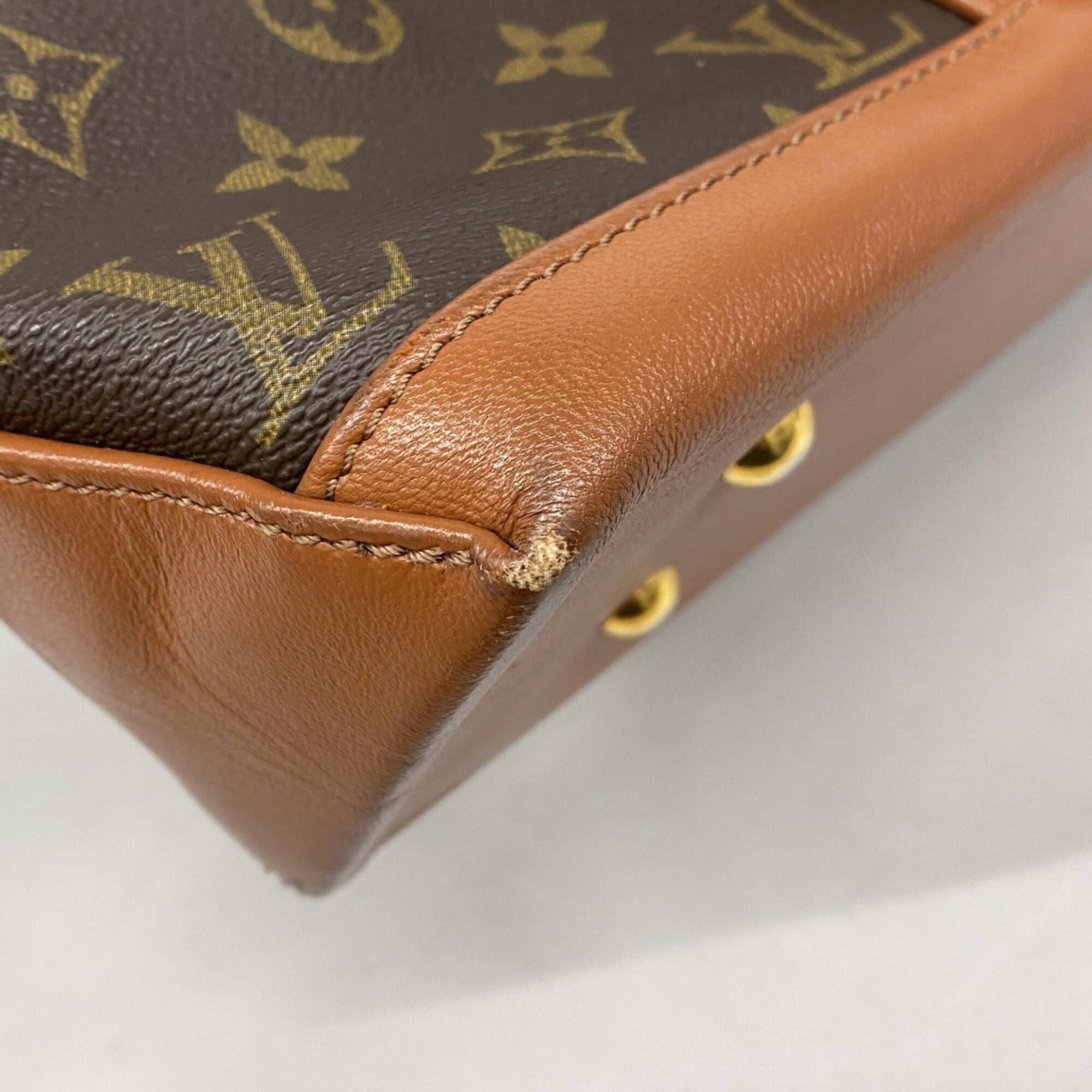 Louis Vuitton Brown Tote Bag (Pre-Owned)