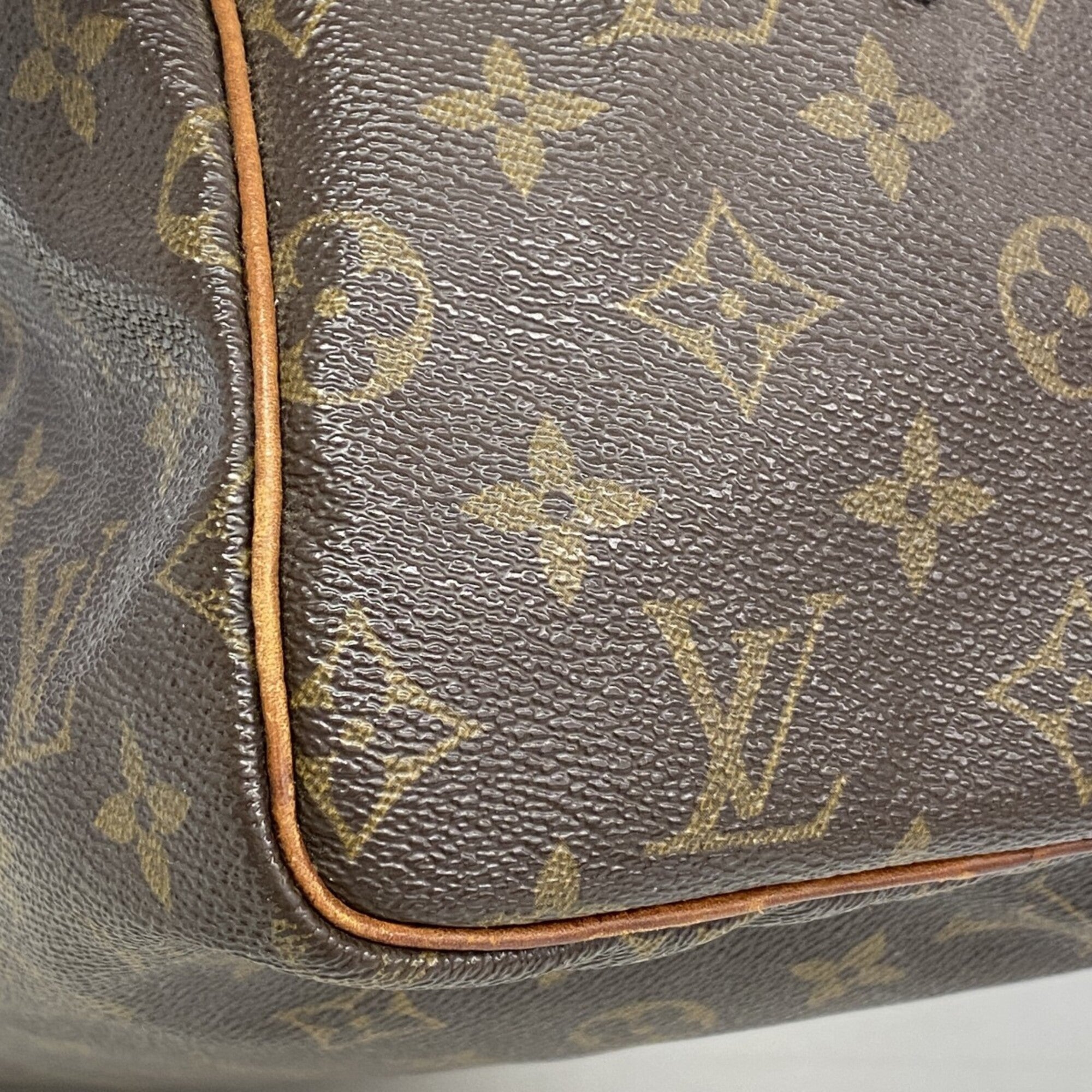 Louis Vuitton Brown Handbag (Pre-Owned)