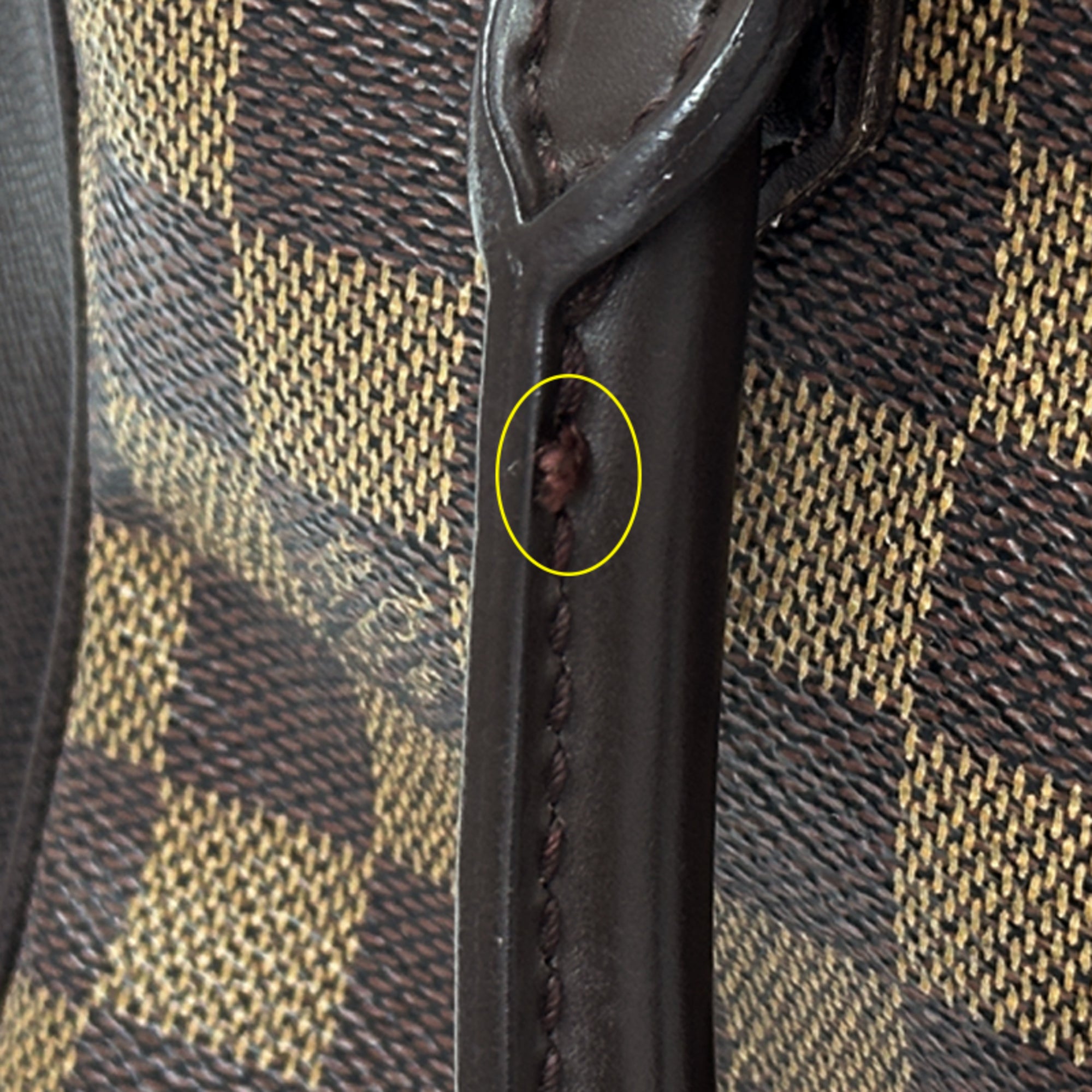 Louis Vuitton Brown Ebene Damier Canvas Handbag (Pre-Owned)