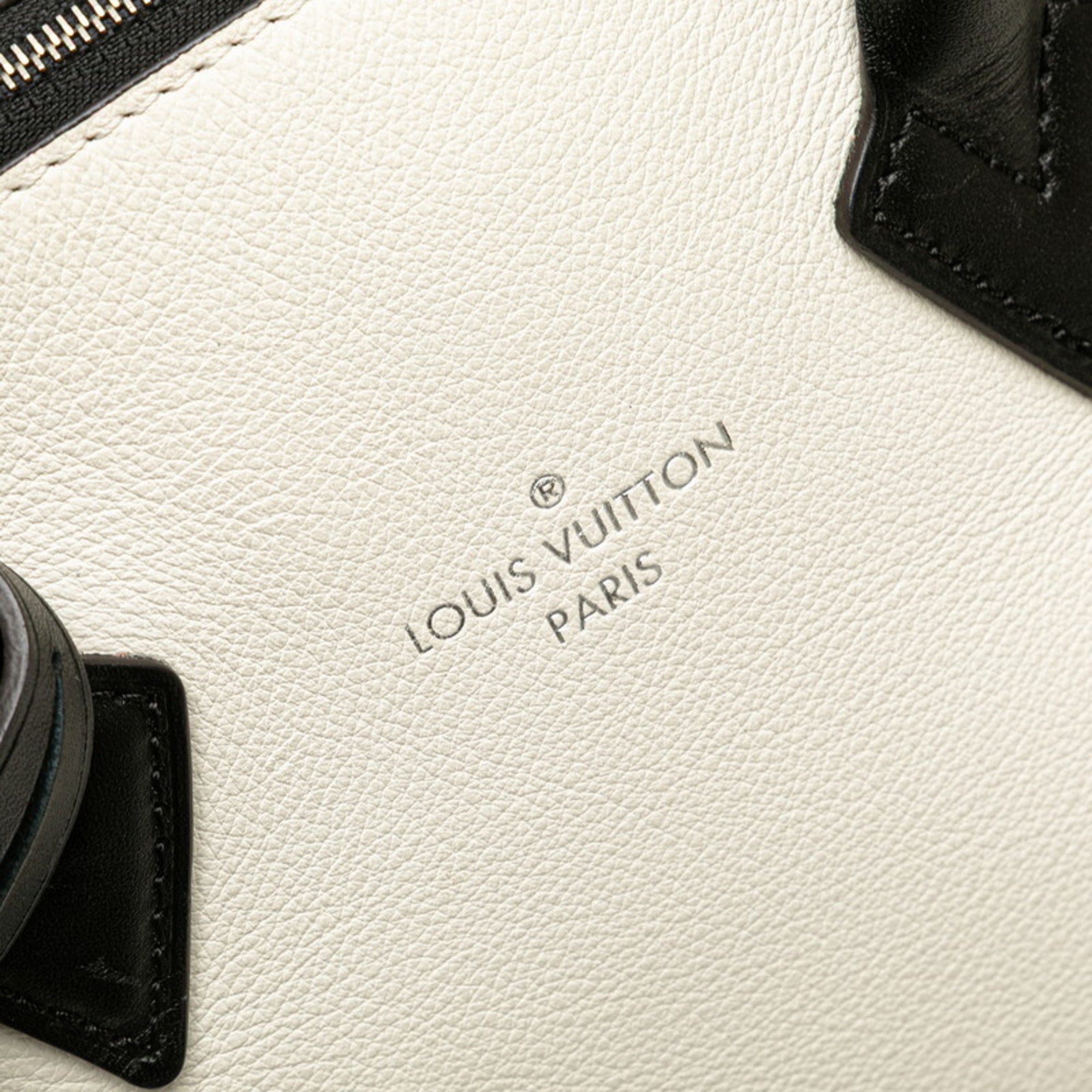 Louis Vuitton Dark Brown Off-White Leather Handbag (Pre-Owned)