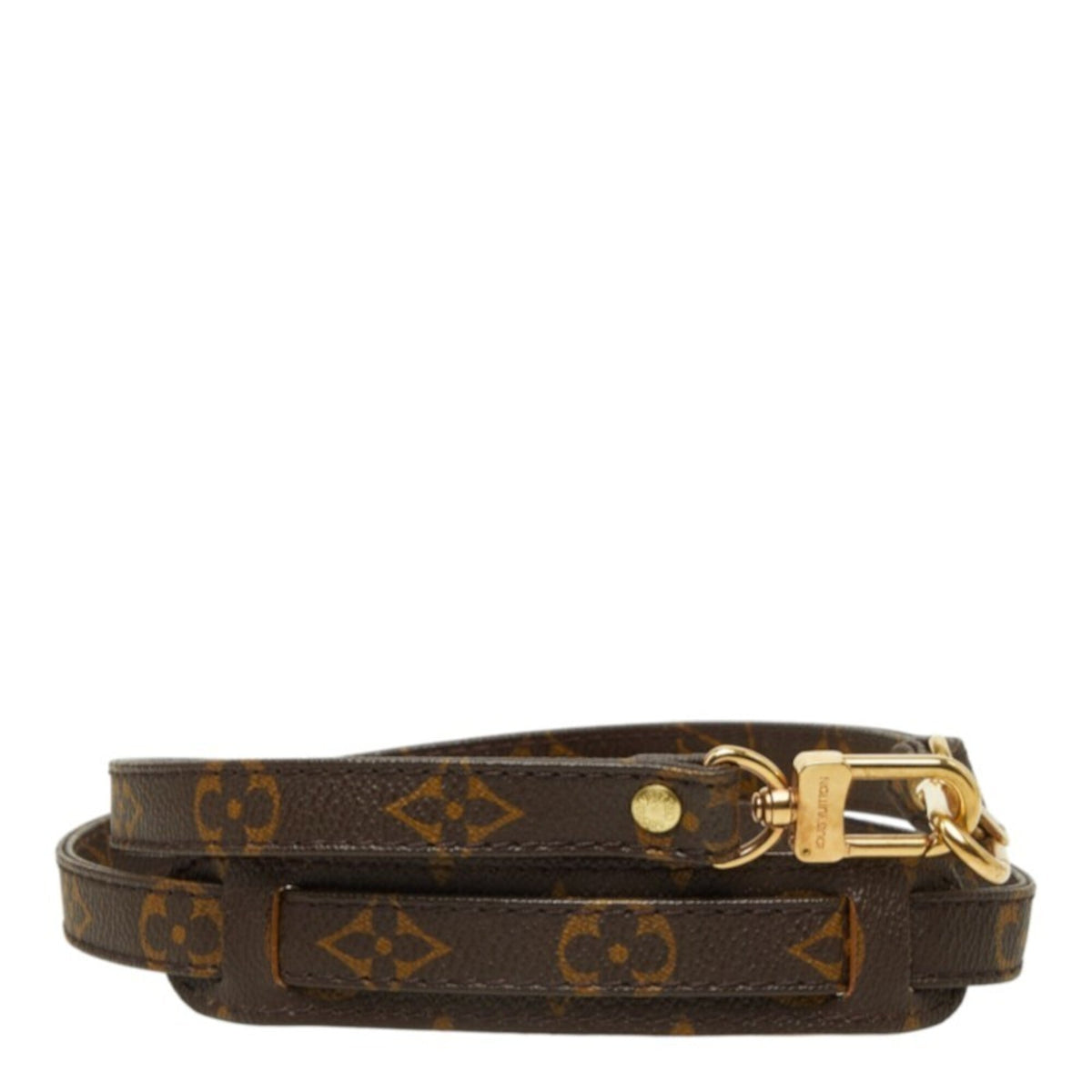 Louis Vuitton Brown Monogram Pvc (Pre-Owned)