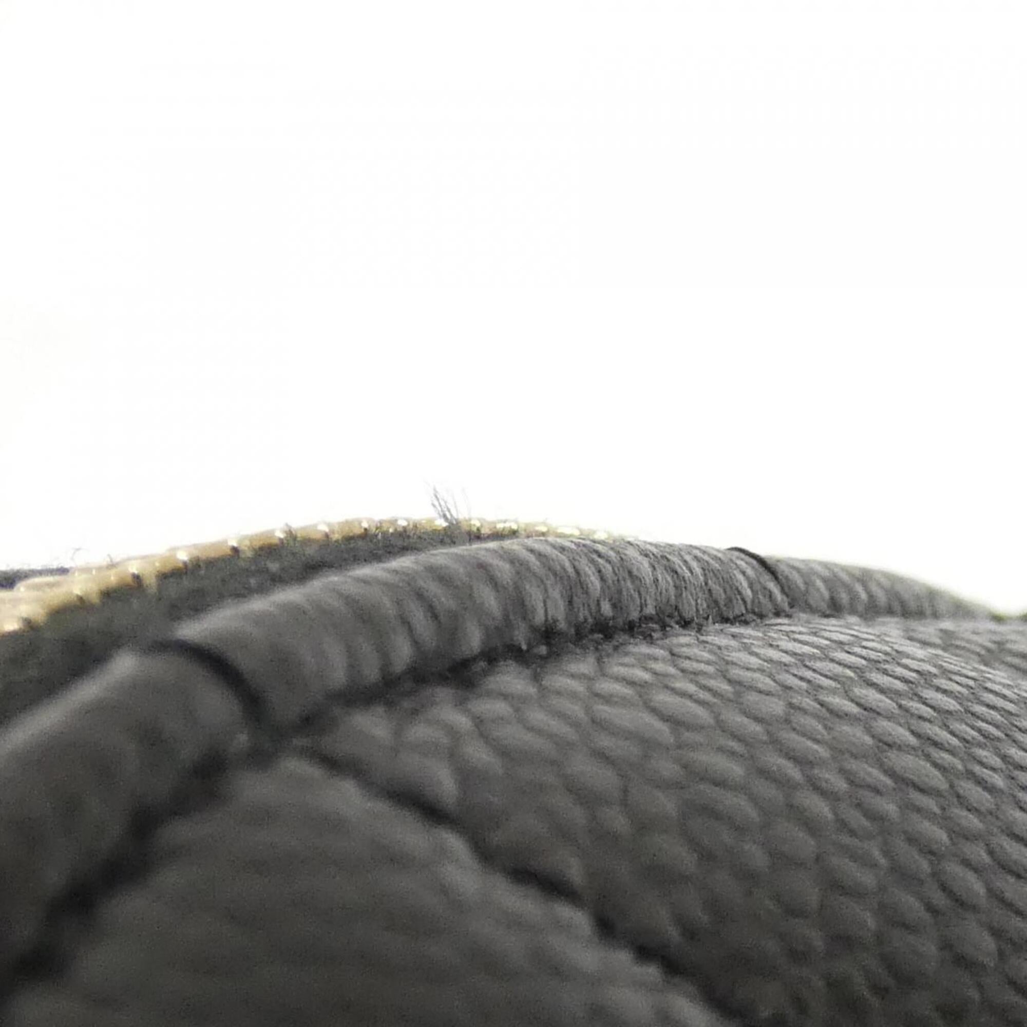 Chanel Black Grained Calfskin Handbag Pouch (Pre-Owned)
