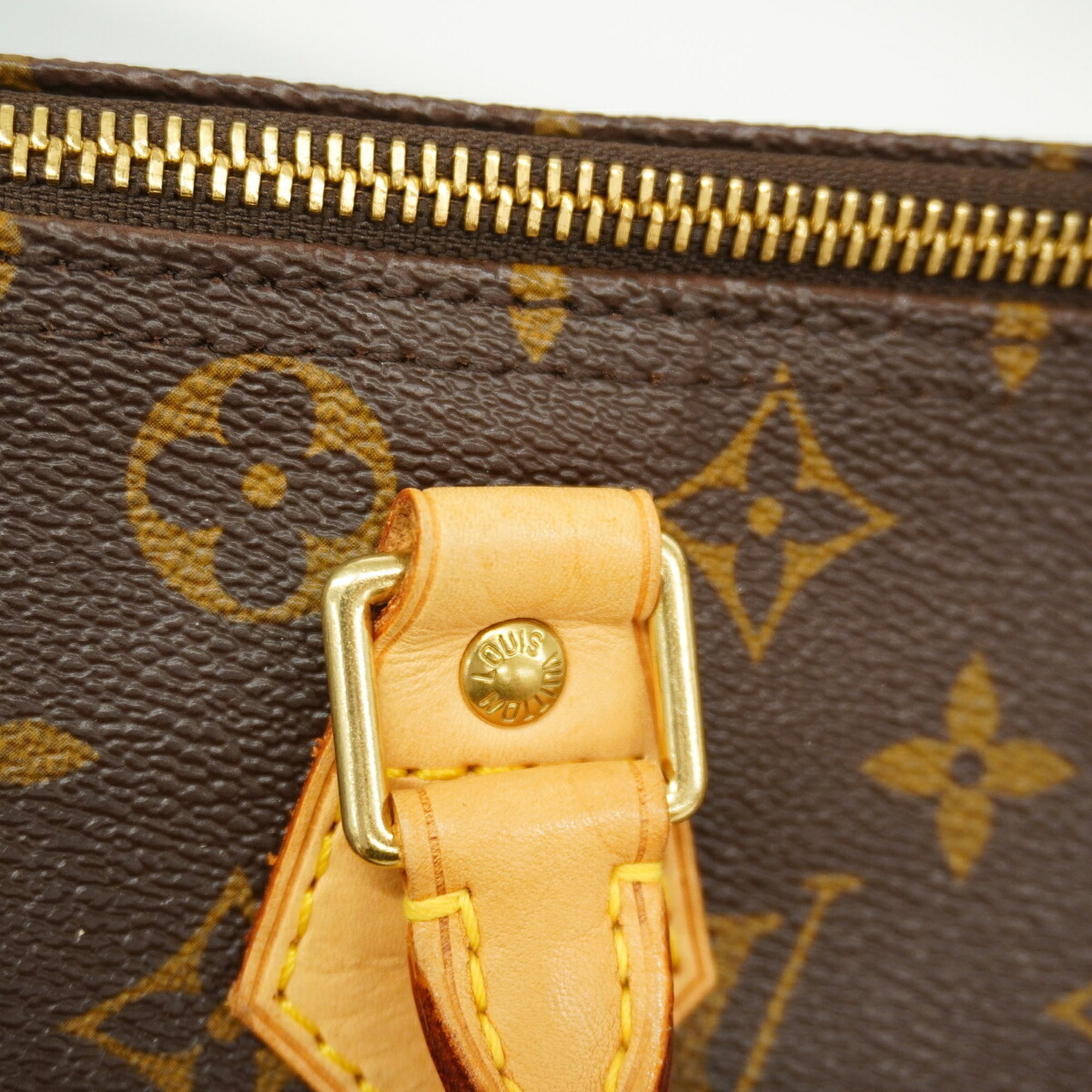 Louis Vuitton Brown Handbag (Pre-Owned)