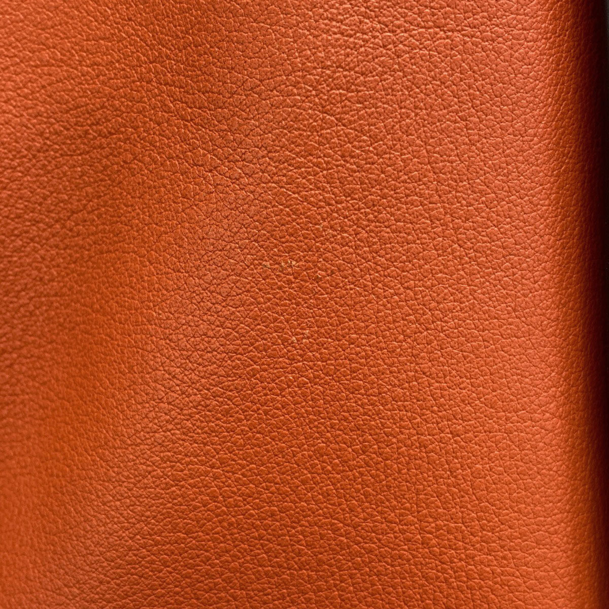 Loewe Brown Orange Leather Handbag (Pre-Owned)