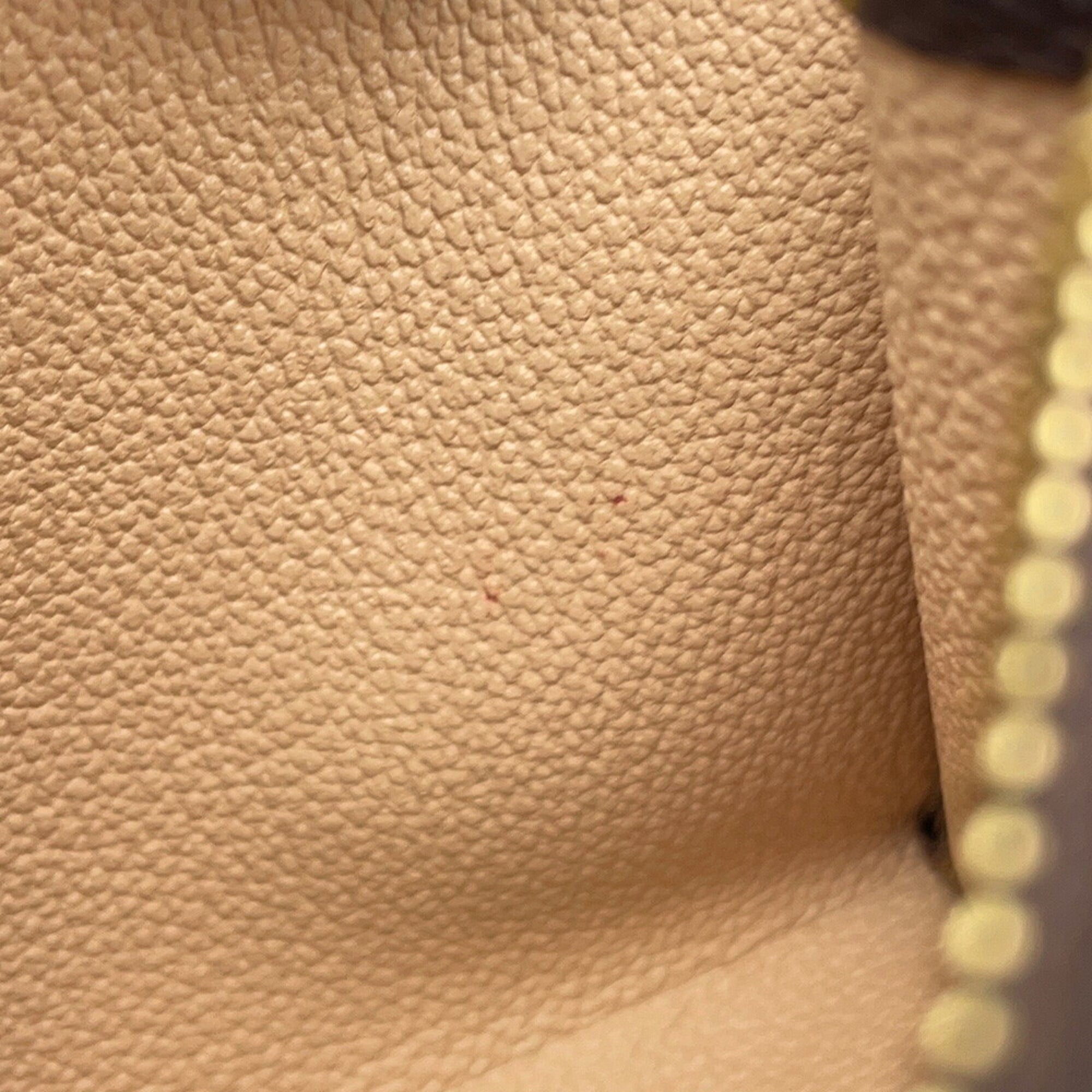 Louis Vuitton Monogram Beige Monogram Handbag Pouch (Pre-Owned)