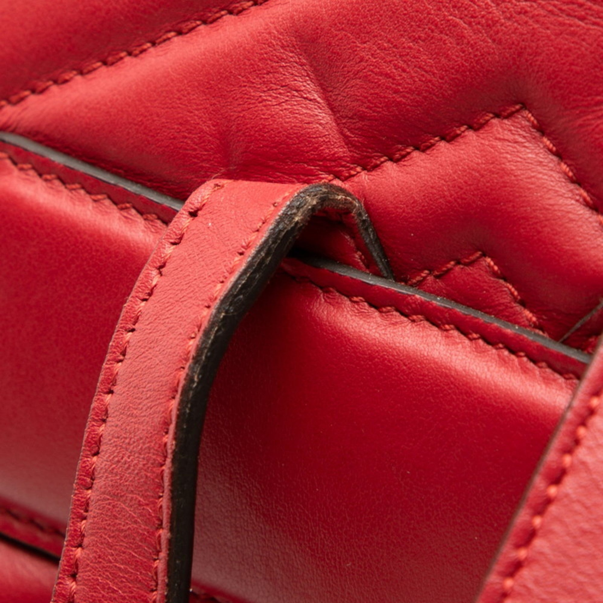 Gucci Red Color Leather Backpack (Pre-Owned)