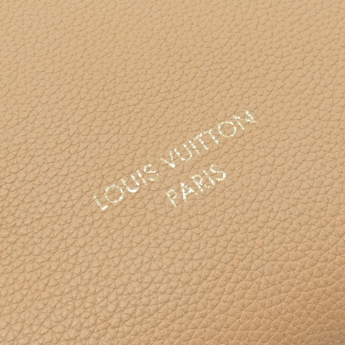 Louis Vuitton Beige Leather Handbag (Pre-Owned)