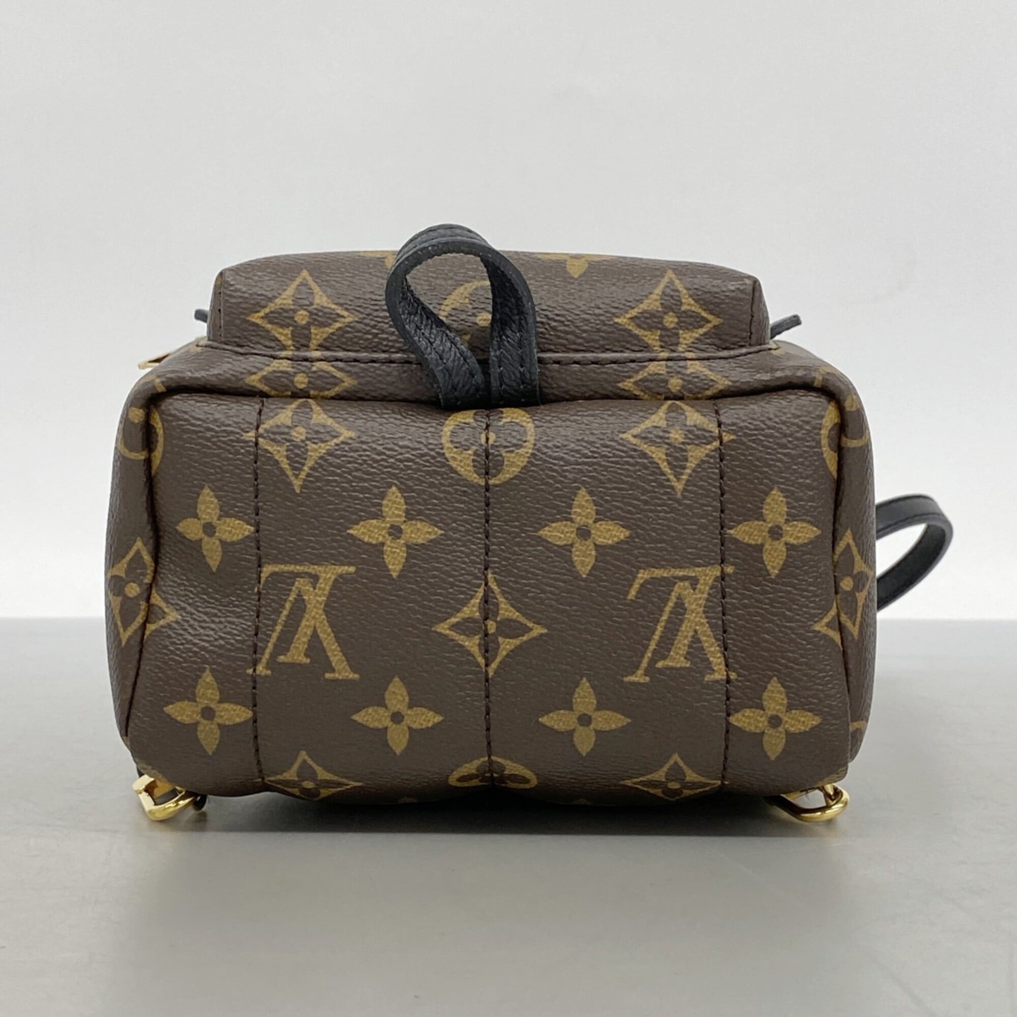 Louis Vuitton Brown Backpack (Pre-Owned)
