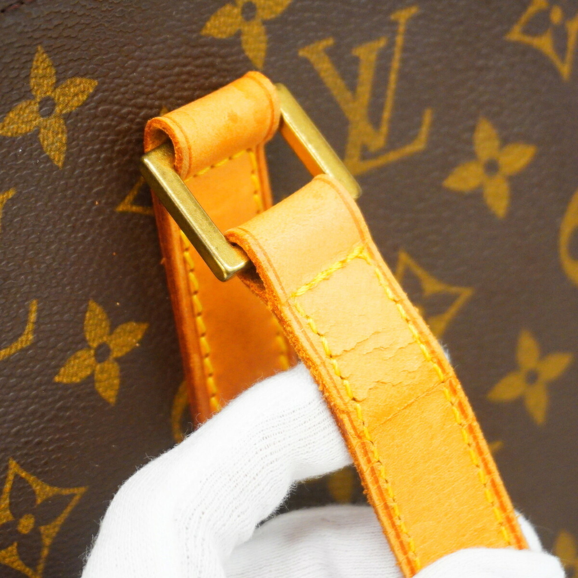Louis Vuitton Brown Tote Bag (Pre-Owned)