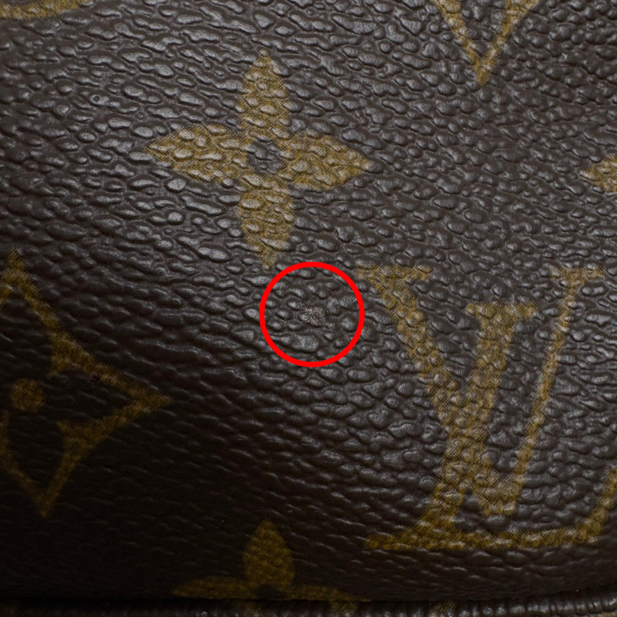 Louis Vuitton Brown Monogram Pochette Pouch (Pre-Owned)