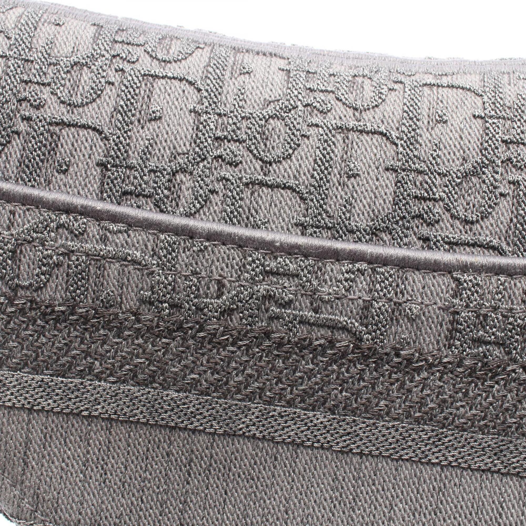 Christian Dior Gray Canvas Handbag Saddle Bag (Pre-Owned)