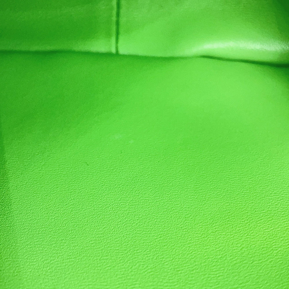 Celine Light Green Leather Shoulder Bag (Pre-Owned)