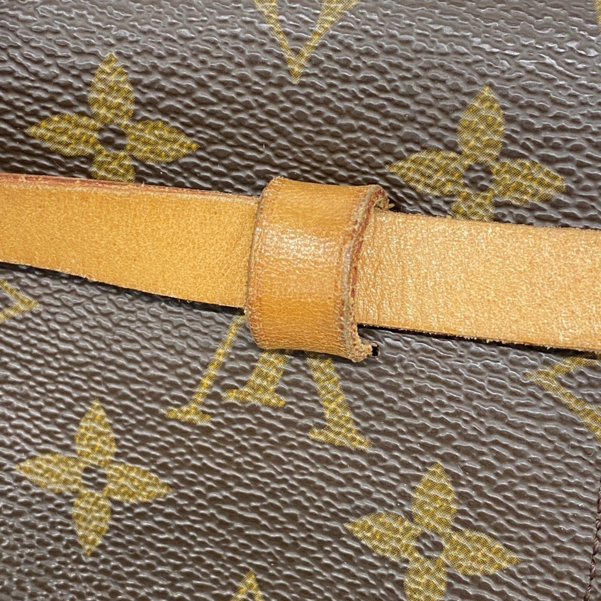 Louis Vuitton Brown Fanny Pack (Pre-Owned)