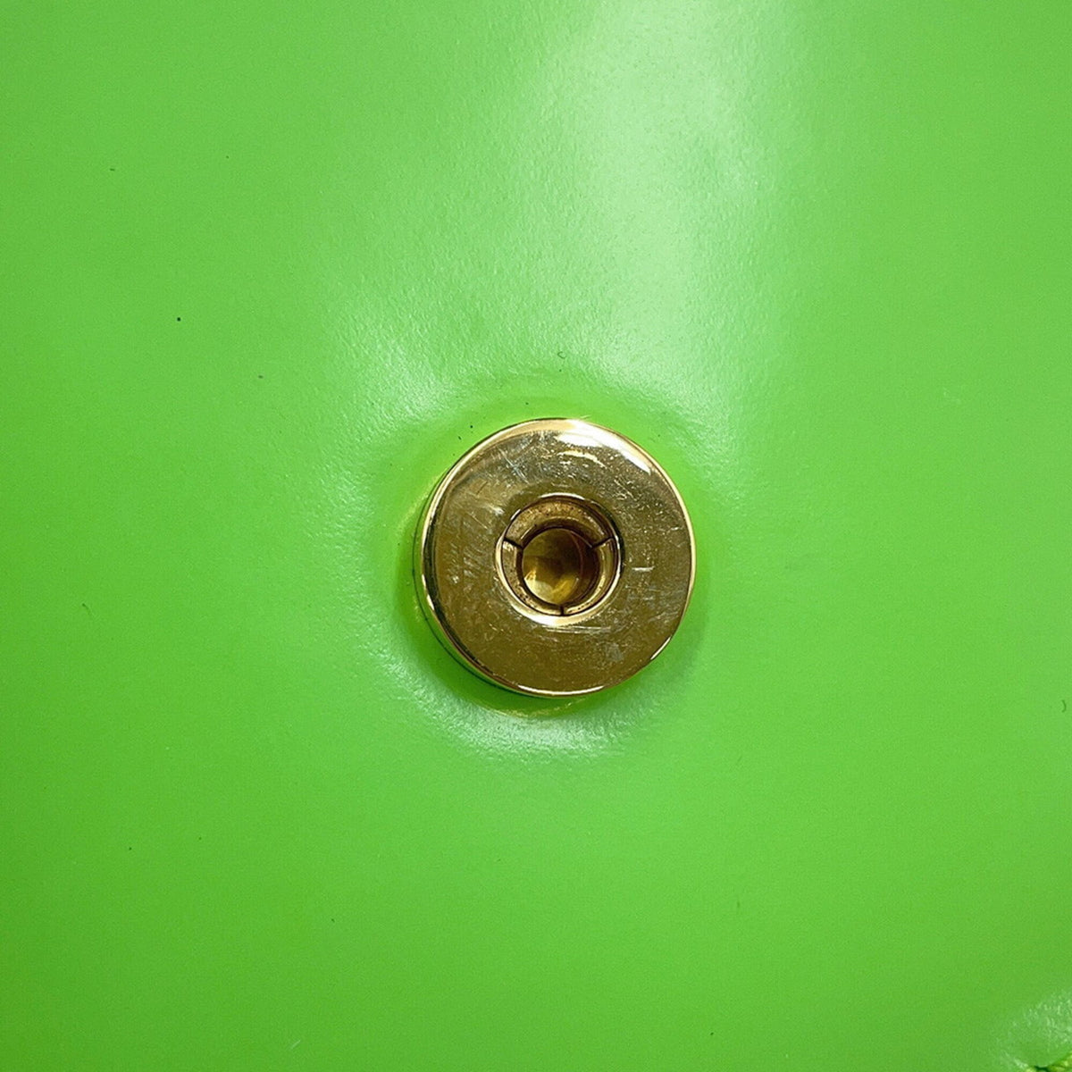 Celine Light Green Leather Shoulder Bag (Pre-Owned)