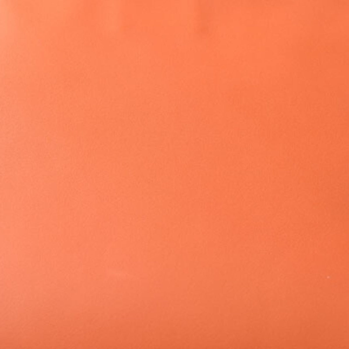 Loewe Coral Color Leather Clutch Bag (Pre-Owned)