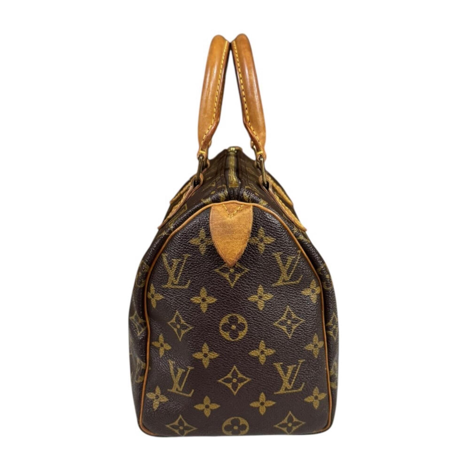 Louis Vuitton Brown Monogram Canvas Handbag (Pre-Owned)
