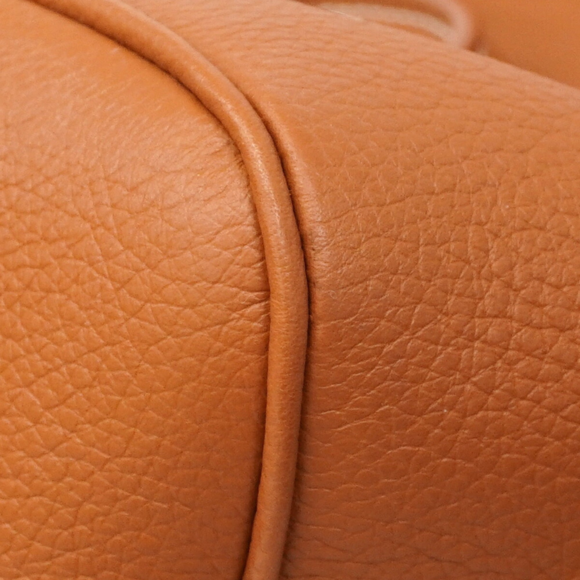 Louis Vuitton Cognac Handbag (Pre-Owned)