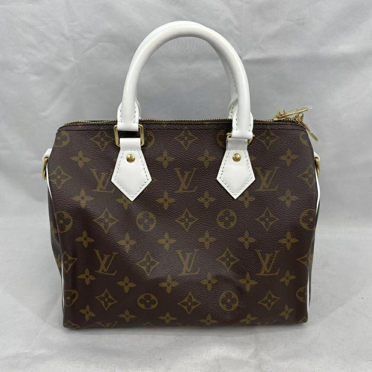 Louis Vuitton Brown Handbag (Pre-Owned)