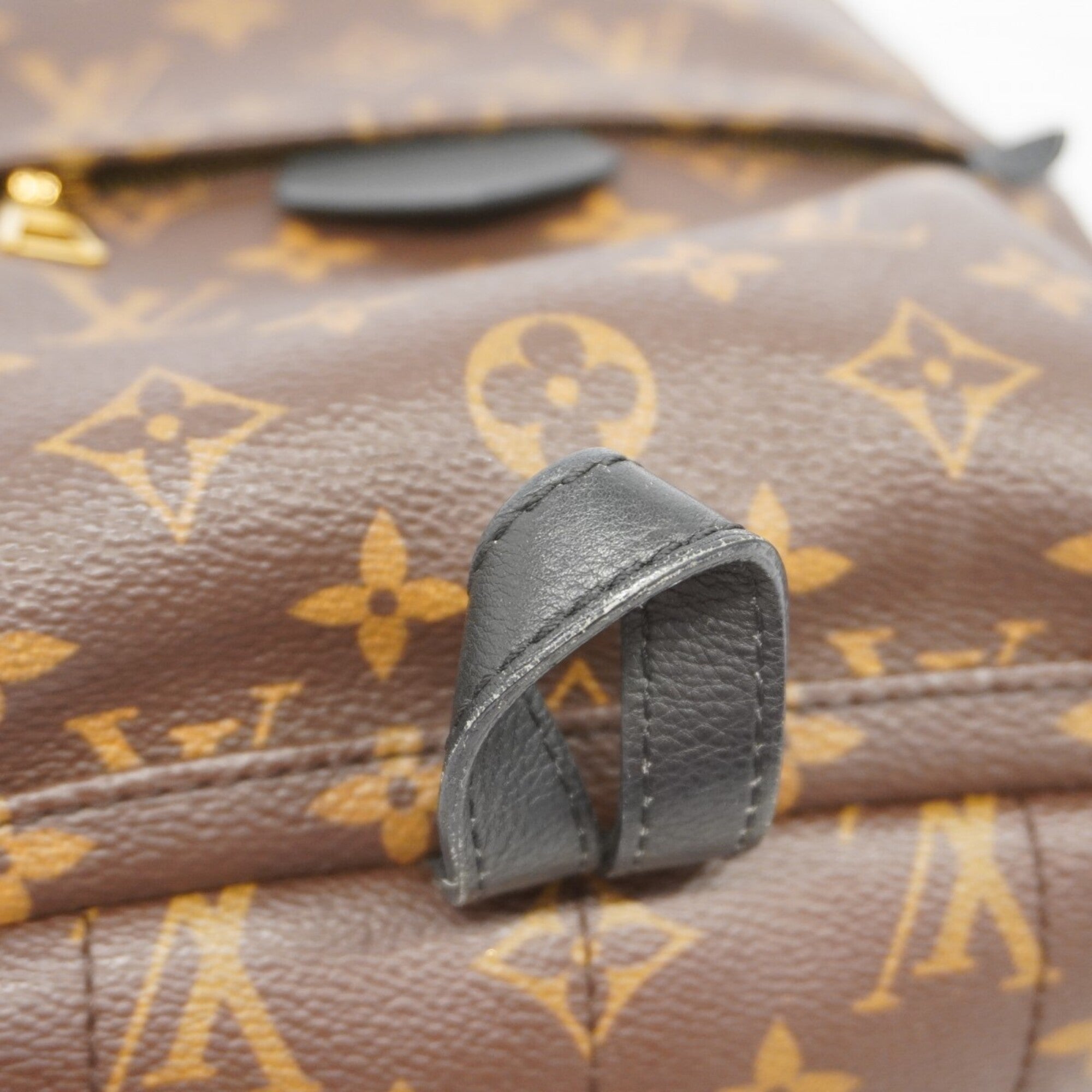 Louis Vuitton Brown Backpack (Pre-Owned)