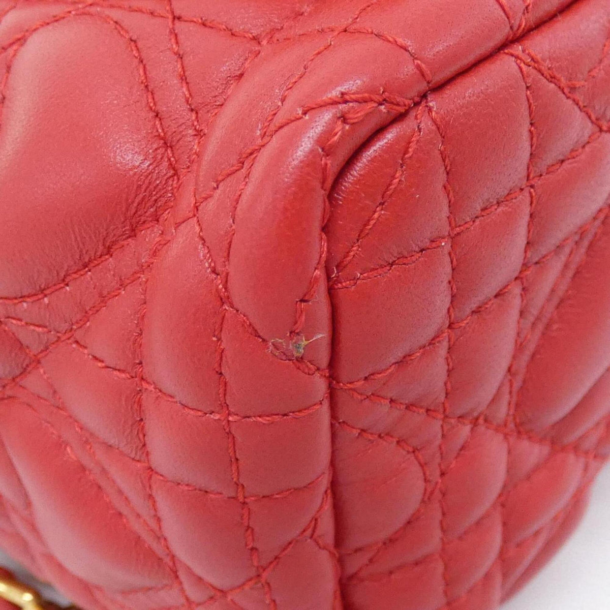 Christian Dior Red Color Leather Backpack (Pre-Owned)