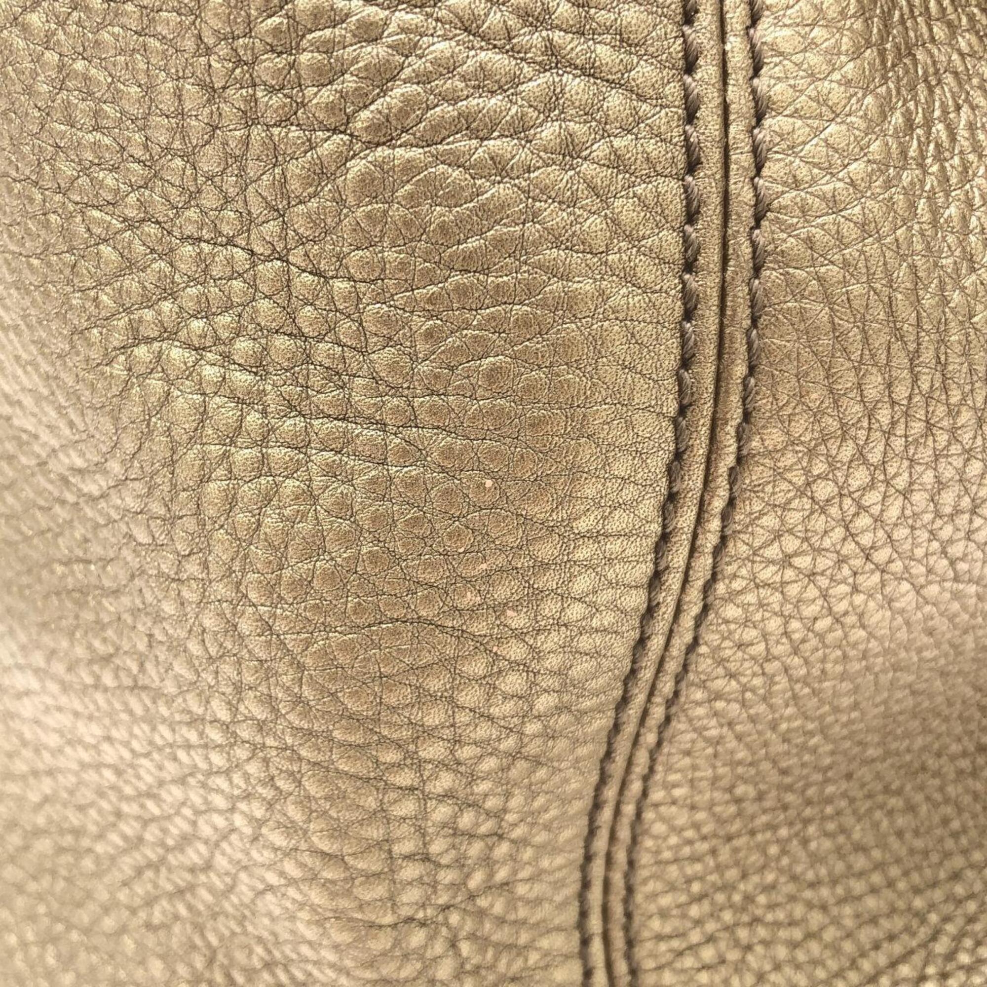 Gucci Metallic Beige Metallic Gold Leather Shoulder Bag (Pre-Owned)